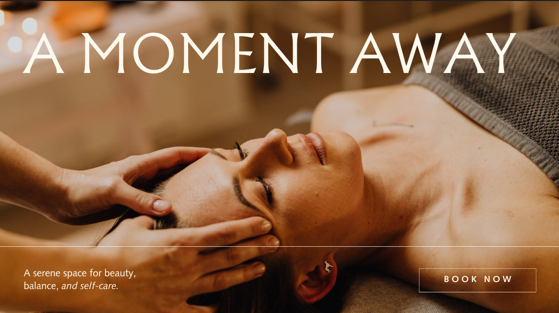 Starter website sample of spa of fly digital